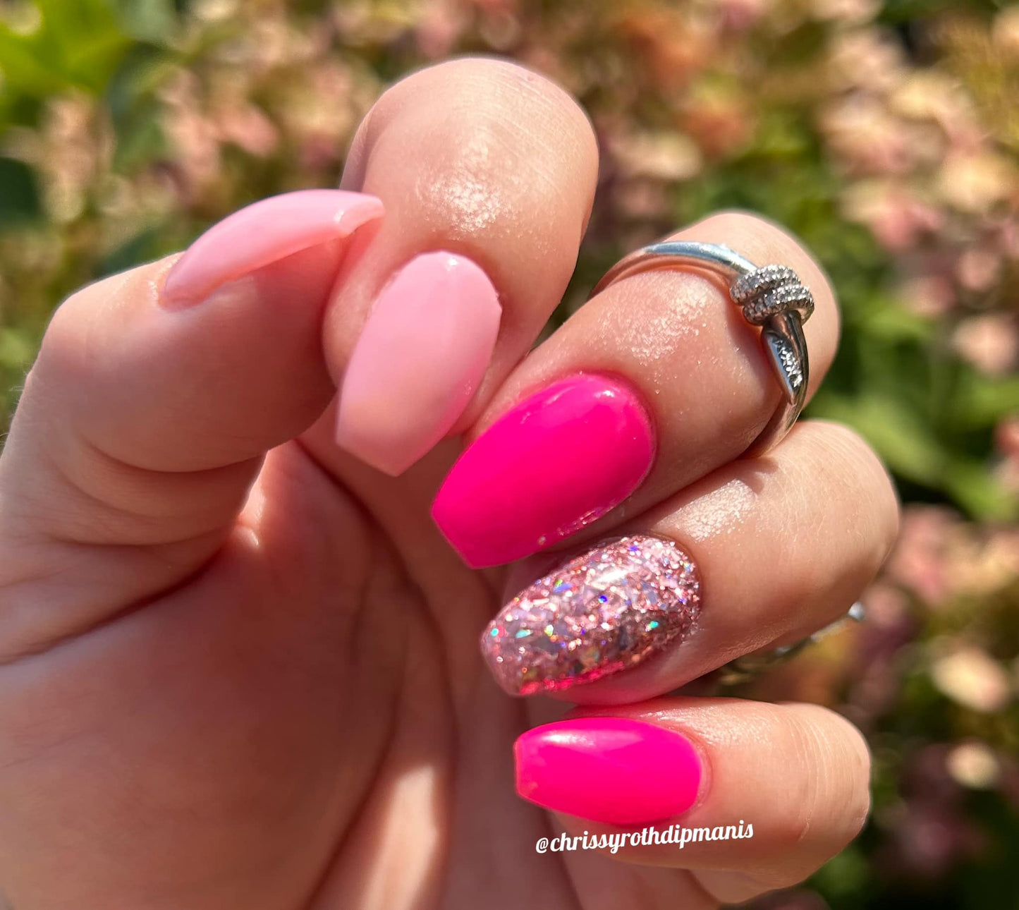 Summer Rose Dip Powder